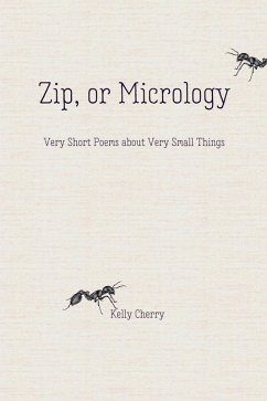 Cover Zip, or Micrology (eBook, ePUB)