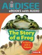 Story of a Frog (eBook, ePUB) - Bild 1