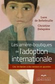 Les arrière-boutiques de l'adoption internationale (eBook, ePUB) Les arrière-boutiques de l'adoption internationale (eBook, ePUB)