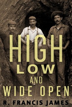 High, Low and Wide Open (eBook, ePUB) - Francis, James R.