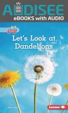 Let's Look at Dandelions (eBook, ePUB)