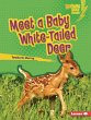 Meet a Baby White-Tailed Deer (eBook,... - Bild 1