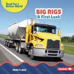 Big Rigs (eBook, ePUB)