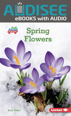 Cover Spring Flowers (eBook, ePUB)