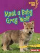 Meet a Baby Gray Wolf (eBook, ePUB) - Bild 1