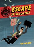 Unsolved Case Files: Escape at 10,000 Feet (eBook, ePUB)