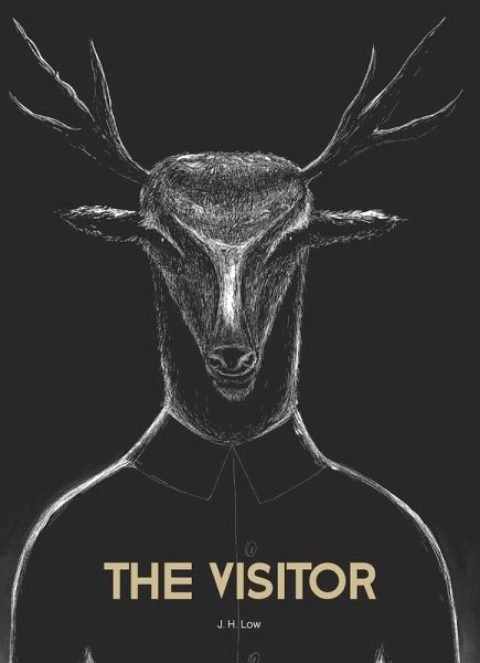 Visitor (eBook, ePUB)