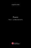 Phoenix (eBook, ePUB)