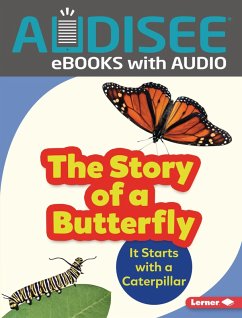 Story of a Butterfly (eBook, ePUB) - Zemlicka, Shannon