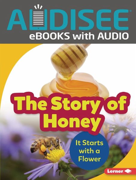 Story of Honey (eBook, ePUB)