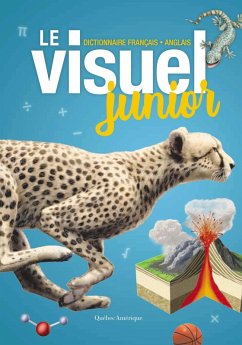 Cover Le Visuel junior (eBook, PDF)