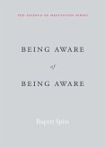 Being Aware of Being Aware (eBook, PDF)