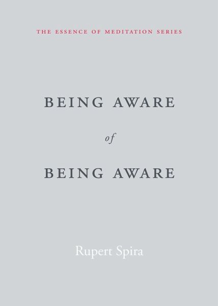 Being Aware of Being Aware (eBook, PDF) Being Aware of Being Aware (eBook, PDF)