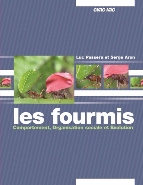 Fourmis (eBook, PDF)