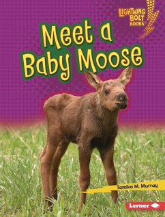 Cover Meet a Baby Moose (eBook, ePUB)