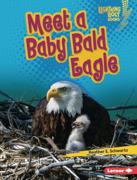 Meet a Baby Bald Eagle (eBook, ePUB) Meet a Baby Bald Eagle (eBook, ePUB)