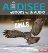 On the Hunt with Owls (eBook, ePUB) - Bild 1