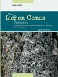 Lichen Genus Rinodina (Ach.) Gray... - Bild 1