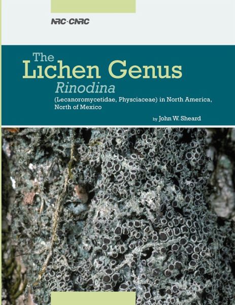 Lichen Genus Rinodina (Ach.) Gray (Lecanorales, Physciaceae) in North America, north of Mexico (eBook, PDF)