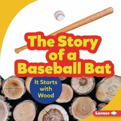 Story of a Baseball Bat (eBook, PDF) Cover Story of a Baseball Bat (eBook, PDF)
