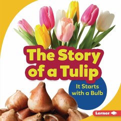 Cover Story of a Tulip (eBook, ePUB)