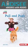 Pull and Push (eBook, ePUB)