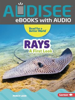 Cover Rays (eBook, ePUB)