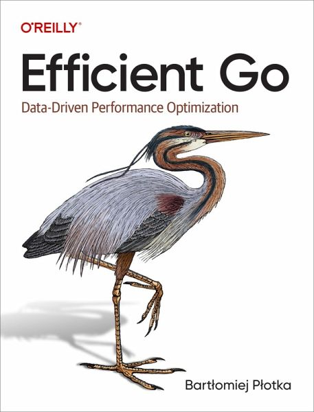 Efficient Go (eBook, ePUB) Efficient Go (eBook, ePUB)