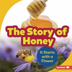 Cover Story of Honey (eBook, PDF)