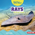 Rays (eBook, ePUB)