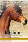Kashmir (eBook, ePUB) Kashmir (eBook, ePUB)