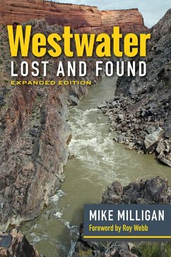 Cover Westwater Lost and Found (eBook, PDF)