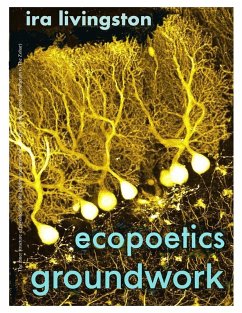 Cover Ecopoetics Groundwork (eBook, ePUB)