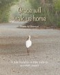 Grace Will Walk Us Home (eBook, PDF) - Bild 1