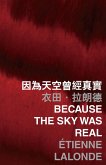 Because the sky was real (eBook, PDF)