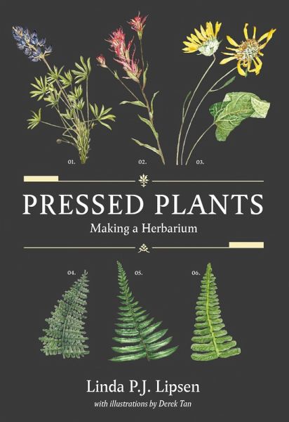 Pressed Plants (eBook, ePUB)