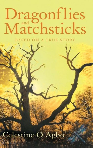 Dragonflies and Matchsticks (eBook, ePUB)