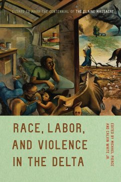 Race, Labor, and Violence in the Delta (eBook, ePUB)