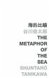 Metaphor of the Sea (eBook, PDF) - Bild 1