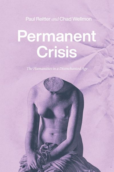 Permanent Crisis (eBook, ePUB)