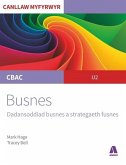 CBAC Canllaw Myfyrwyr: Busnes - Dadansoddiad Busnes a Strategaeth (eBook, ePUB) CBAC Canllaw Myfyrwyr: Busnes - Dadansoddiad Busnes a Strategaeth (eBook, ePUB)