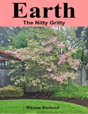 Earth: The Nitty Gritty (eBook, ePUB)