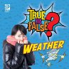True or False? Weather (eBook, PDF) - Bild 1