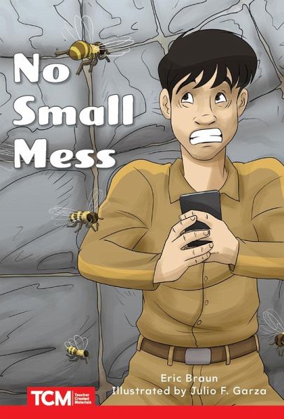 No Small Mess (eBook, ePUB)