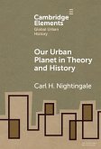 Our Urban Planet in Theory and History (eBook, ePUB)