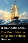 Die Kreuzfahrt der Brigantine Pelikan: Roman (eBook, ePUB)