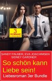 So schön kann Liebe sein! Liebesroman 3er Bundle (eBook, ePUB) So schön kann Liebe sein! Liebesroman 3er Bundle (eBook, ePUB)