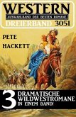 Western Dreierband 3051 (eBook, ePUB)