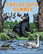 Twelve Days of Summer (eBook, ePUB) - Bild 1