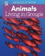 Animals Living in Groups (eBook, PDF) - Bild 1